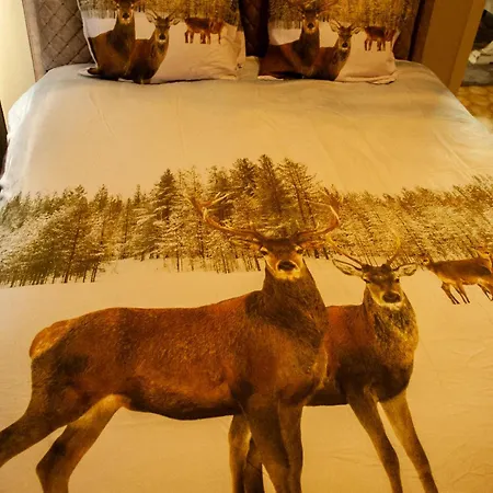 Σπίτι διακοπών Le Petit *